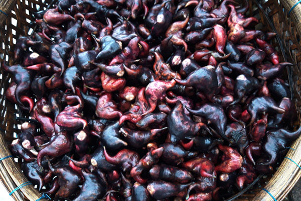 Loại bếp đất nung bất ngờ gây sốt, tuần chốt đơn 3.000 chiếc-5