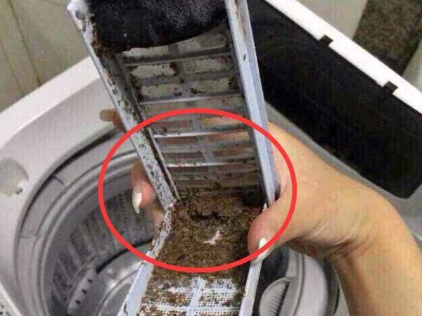 Có một công tắc ẩn trong máy giặt, nước bẩn sẽ chảy ra ngay khi nó được bật lên-3