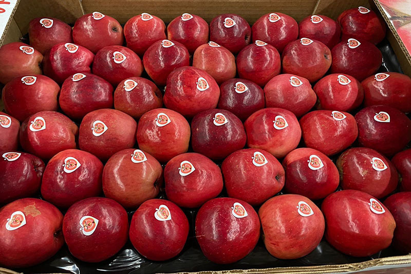 Loại quả lạ đỏ thẫm từ trong ra ngoài, giá cao ngất ngưởng vẫn hút khách-2