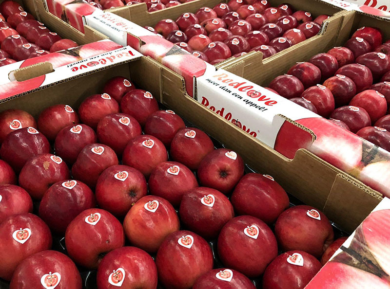 Loại quả lạ đỏ thẫm từ trong ra ngoài, giá cao ngất ngưởng vẫn hút khách-3