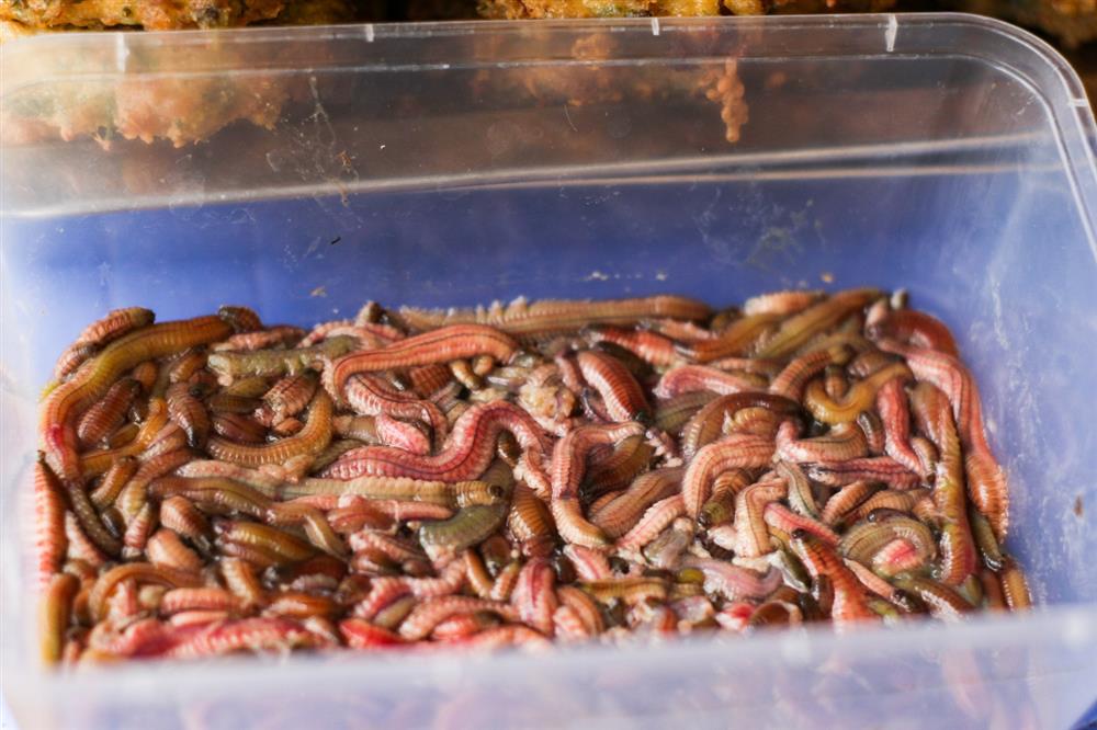 Quán chả rươi hút khách theo công thức ba xoa hai đập, chỉ bán theo mùa-7