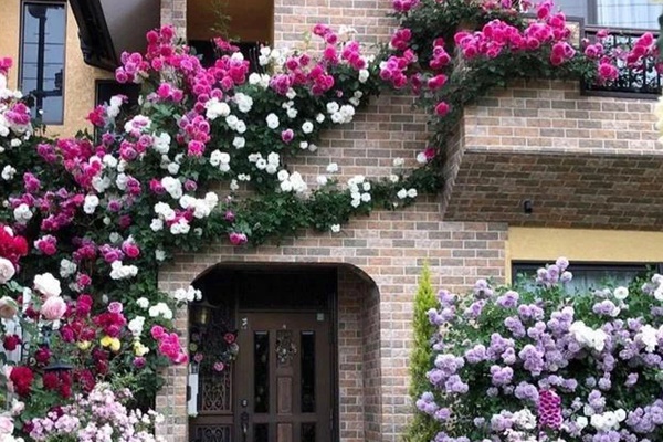 Phòng ngủ phạm 5 lỗi phong thuỷ cực hung khiến gia chủ ăn ngủ không yên, làm ăn thất bát-5