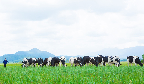 Sữa tươi Organic ‘tiêu chuẩn kép’ của Vinamilk gây ấn tượng tại triển lãm quốc tế Thượng Hải-5