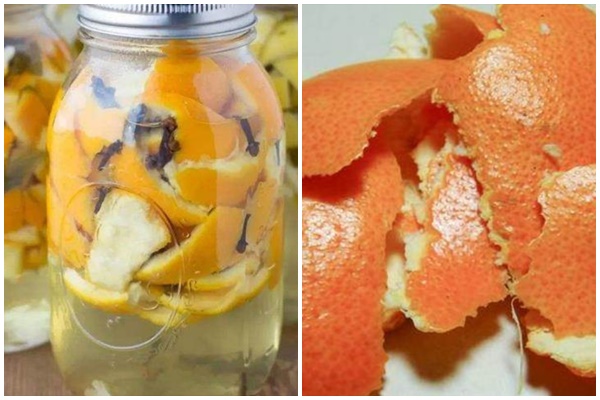 11 cách đuổi sạch gián cực kì hiệu quả-3