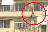 Clip: Cứu người định tự tử, lính cứu hỏa rơi vào tình trạng nguy kịch vì trượt chân ngã từ trên tầng cao xuống