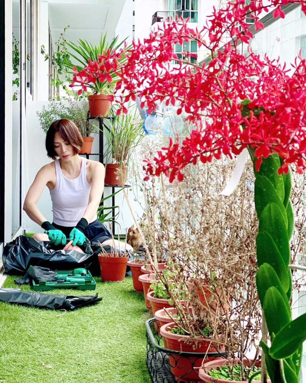 Mỹ nữ Tiếu ngạo giang hồ bị bạn trai lừa tiền, phải mở tiệm mát-xa trả nợ, 1 mình nuôi con-10