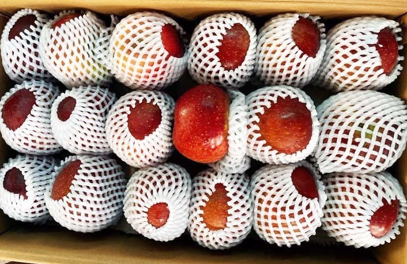 Quả táo cùng tên: Hàng Nhật 1,5 triệu/kg, đồ Tàu đổ đống rẻ như rau-4