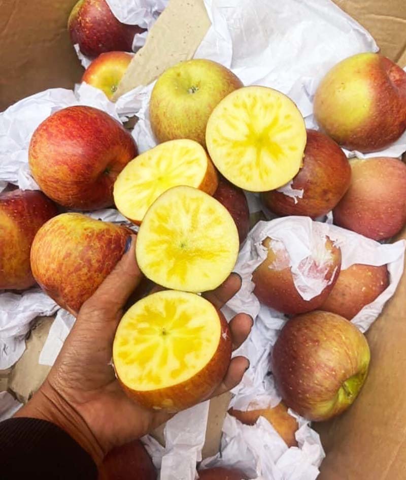 Quả táo cùng tên: Hàng Nhật 1,5 triệu/kg, đồ Tàu đổ đống rẻ như rau-5