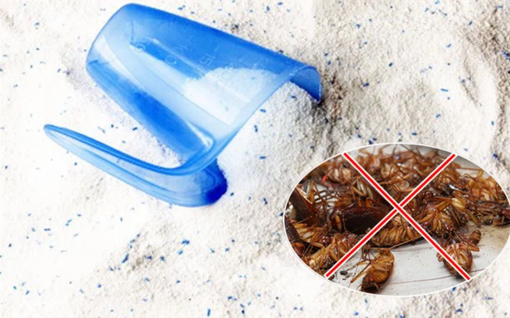 11 cách đuổi sạch gián cực kì hiệu quả-2