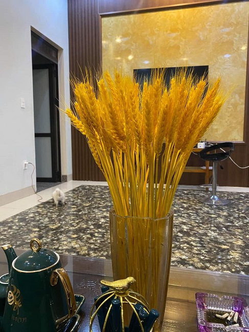 Chán hoa tươi, chị em lùng mua lúa mì về cắm, tiểu thương bán hàng nghìn bó/ngày-3