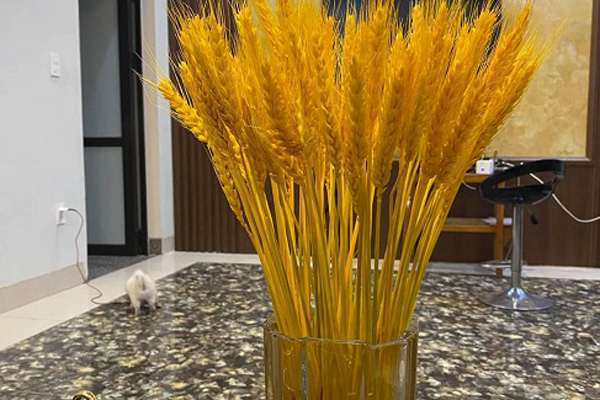 Mùa Valentine: Hoa tươi đội giá gấp đôi, chủ hàng hoa ngao ngán-4