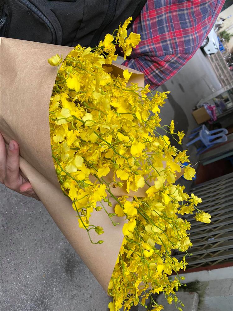 Lan vũ nữ kiêu sa, bền lại sang khiến các chị em mê hoa không thể không mua về cắm-1