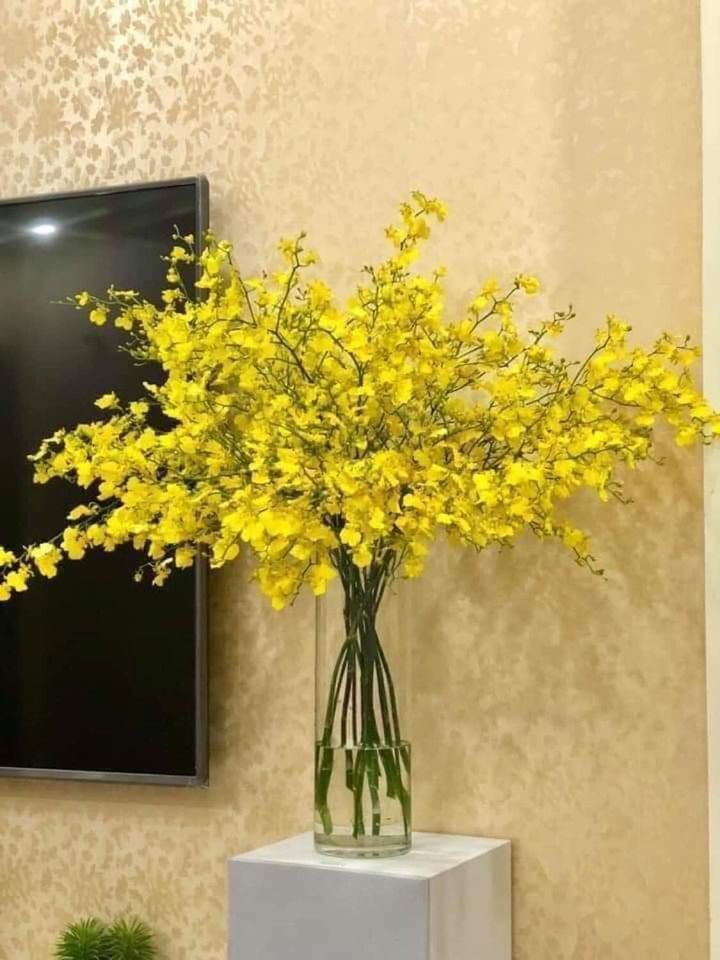 Lan vũ nữ kiêu sa, bền lại sang khiến các chị em mê hoa không thể không mua về cắm-3