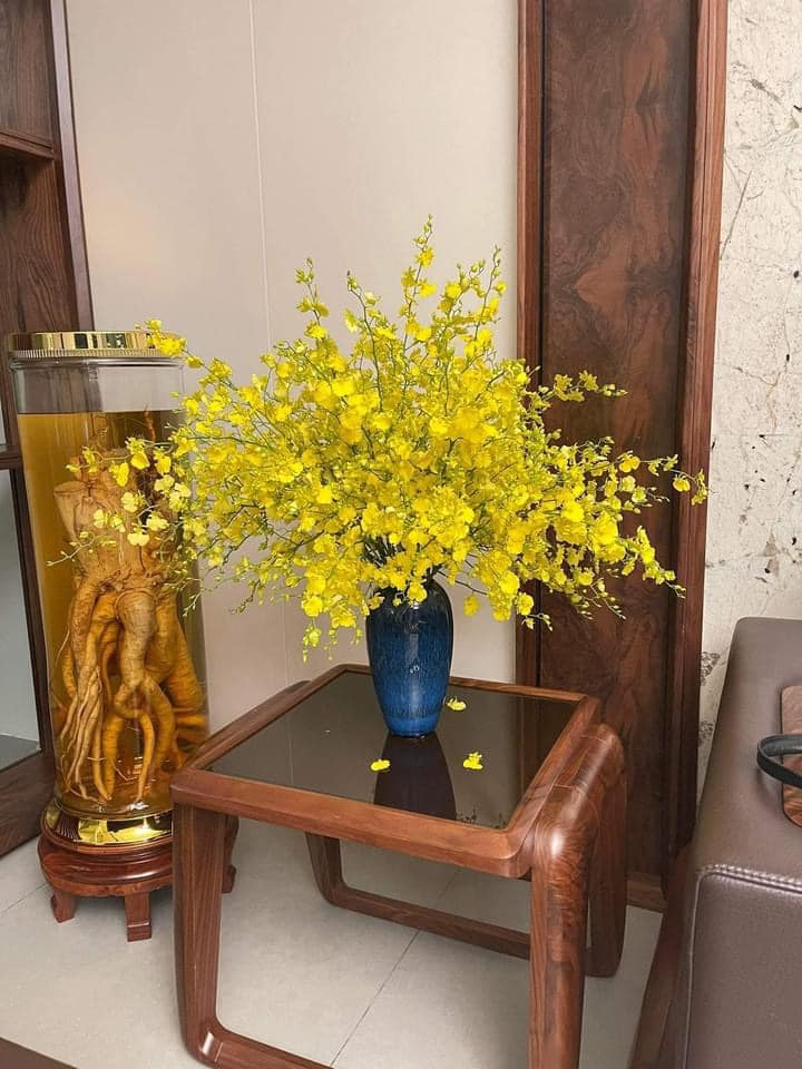 Lan vũ nữ kiêu sa, bền lại sang khiến các chị em mê hoa không thể không mua về cắm-6