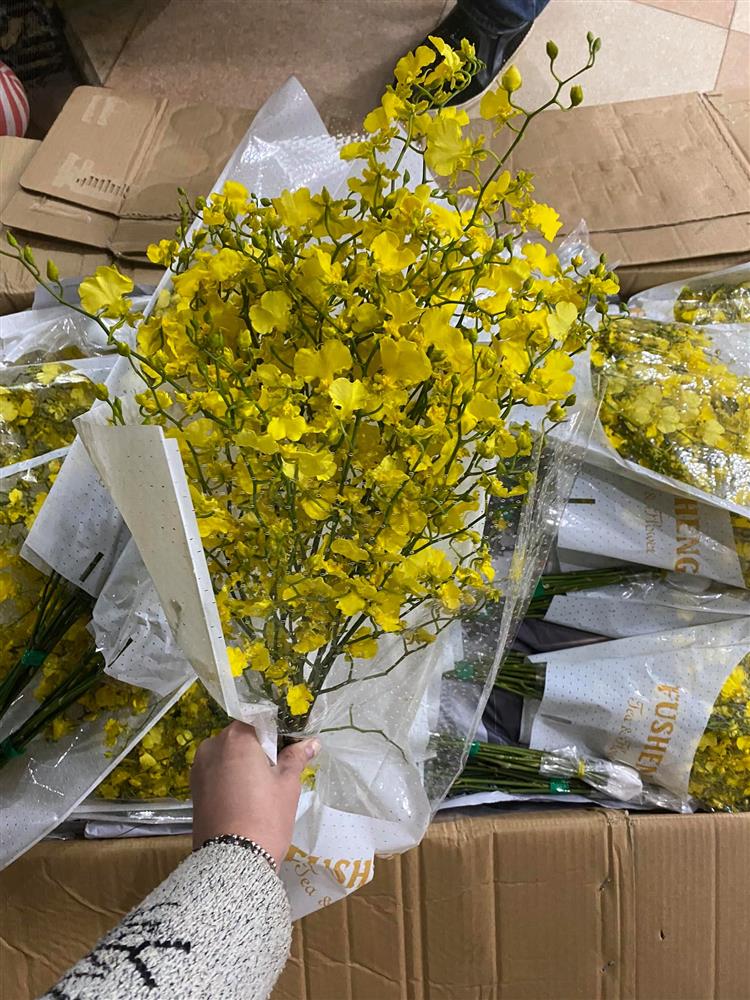 Lan vũ nữ kiêu sa, bền lại sang khiến các chị em mê hoa không thể không mua về cắm-7