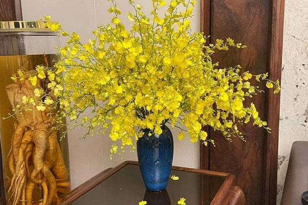 Mộc lan lộng lẫy, quý phái, giá từ 150k/bó được chị em ráo riết săn lùng-9