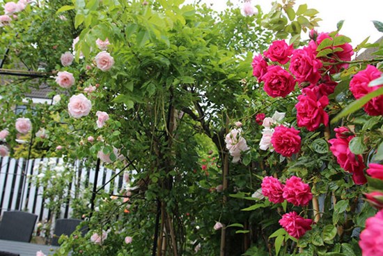 Nửa đêm, chồng lén ra khỏi nhà, vợ đi theo phát hiện chuyện đau lòng