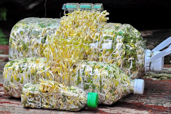 Thịt nướng muốn mềm ngon thì không thể bỏ qua 2 mẹo này, nướng xong vệ sinh vỉ cực nhanh!-5