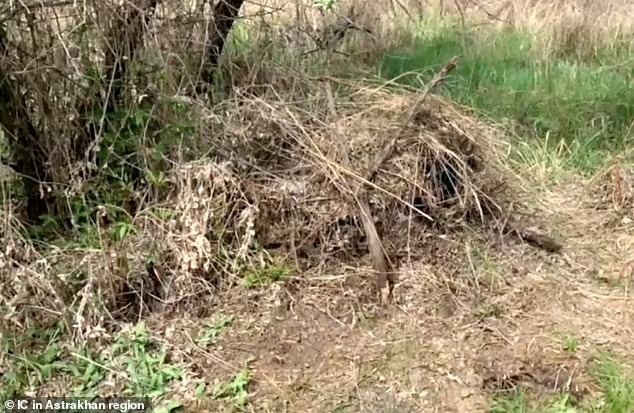 Chia tay vợ đẹp như tiên liền thấy tiếc, chồng cầu cứu pháp sư dỏm mong vợ quay về nào ngờ tự chuốc họa vào thân-5