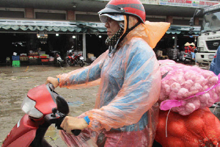 Rau nhập khẩu giá tiền triệu, đặc sản Việt đổ đống chỉ vài nghìn đồng-3