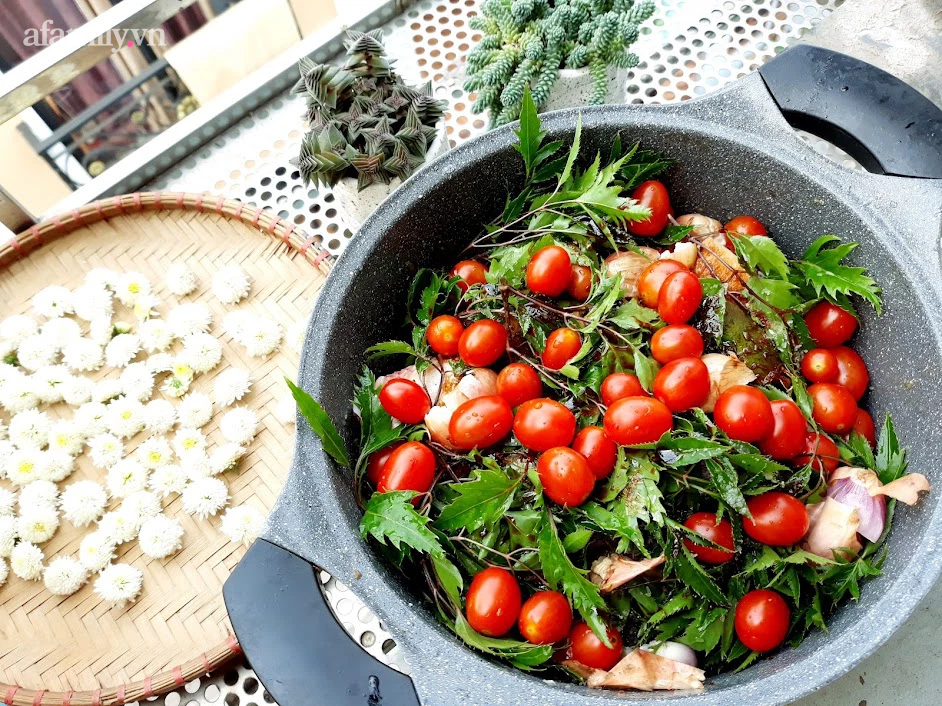 Khu vườn đủ loại rau của mẹ đảm ở Long Biên với hạt giống 0 đồng, ủ phân bón từ rác nhà bếp-17