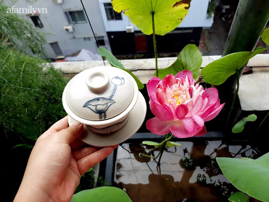 Khu vườn đủ loại rau của mẹ đảm ở Long Biên với hạt giống 0 đồng, ủ phân bón từ rác nhà bếp-42