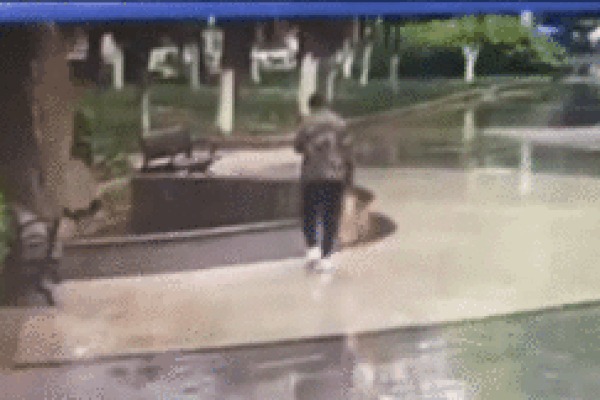 Trời rét, nam thanh niên ngã vào đài phun nước chỉ vì mải nhìn điện thoại