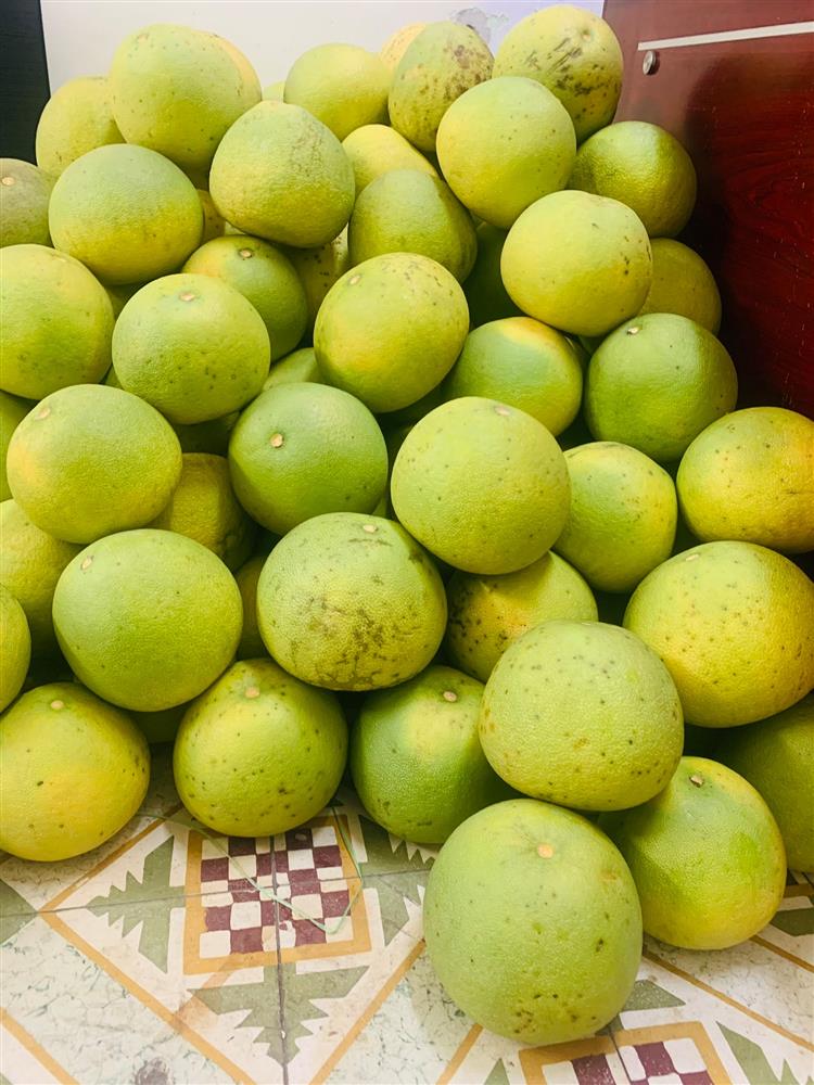 Bưởi được bán với giá 9.000 đồng/quả khiến chị em mua vài chục quả 1 lần ăn không chán-1