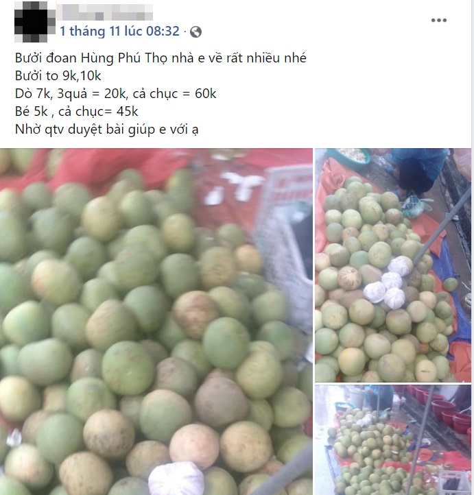 Bưởi được bán với giá 9.000 đồng/quả khiến chị em mua vài chục quả 1 lần ăn không chán-3