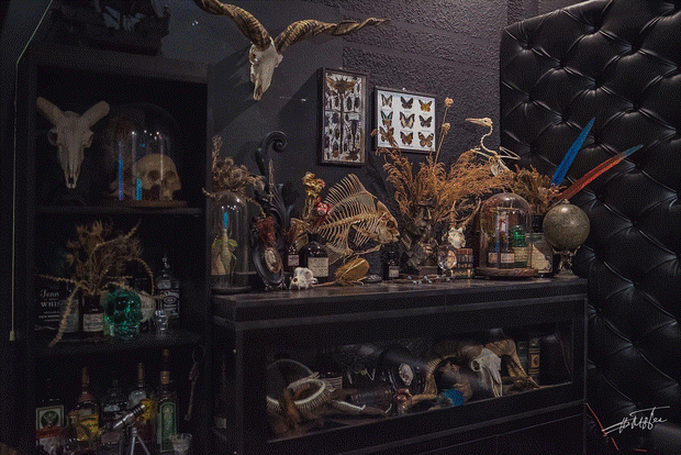 Hết hồn với chàng trai Sài Gòn decor nhà ma mị toàn xương động vật, mặc nhiều người chê kinh dị vẫn tự hào với BST độc lạ này-2