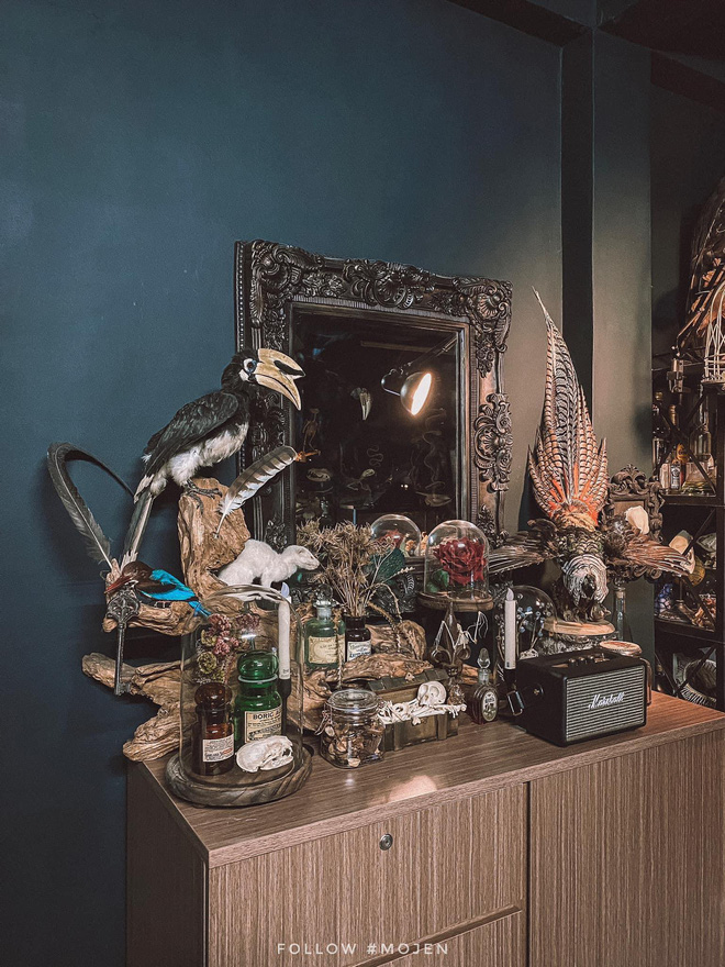 Hết hồn với chàng trai Sài Gòn decor nhà ma mị toàn xương động vật, mặc nhiều người chê kinh dị vẫn tự hào với BST độc lạ này-3