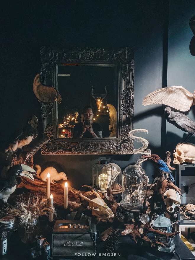 Hết hồn với chàng trai Sài Gòn decor nhà ma mị toàn xương động vật, mặc nhiều người chê kinh dị vẫn tự hào với BST độc lạ này-4