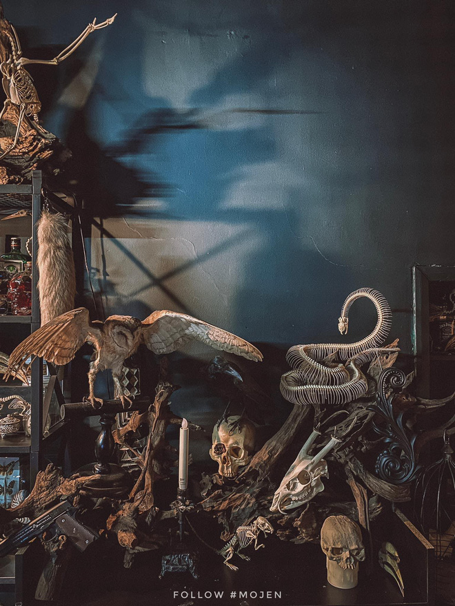 Hết hồn với chàng trai Sài Gòn decor nhà ma mị toàn xương động vật, mặc nhiều người chê kinh dị vẫn tự hào với BST độc lạ này-5