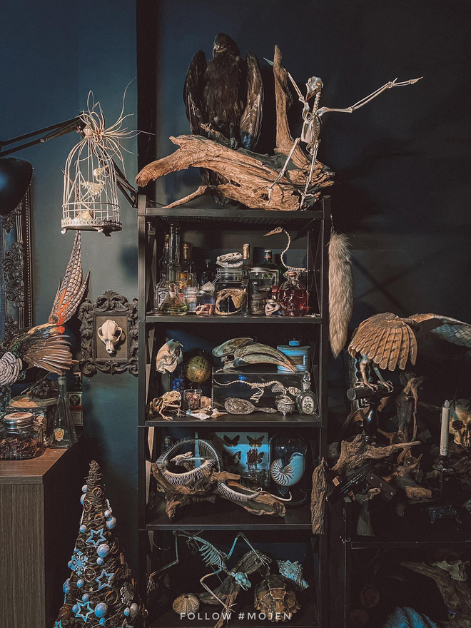 Hết hồn với chàng trai Sài Gòn decor nhà ma mị toàn xương động vật, mặc nhiều người chê kinh dị vẫn tự hào với BST độc lạ này-6