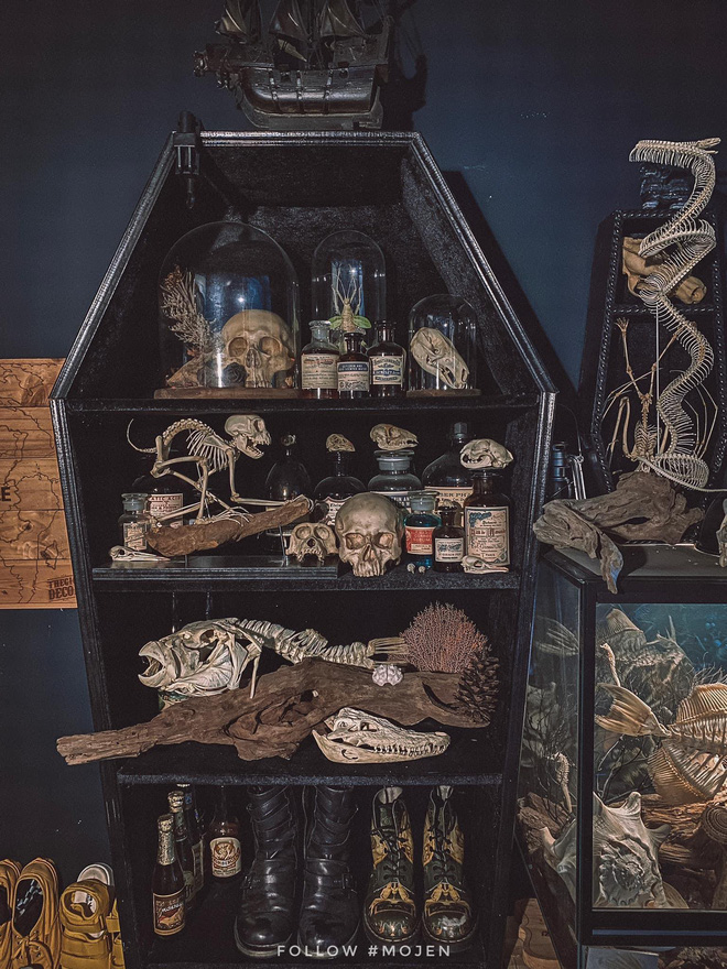 Hết hồn với chàng trai Sài Gòn decor nhà ma mị toàn xương động vật, mặc nhiều người chê kinh dị vẫn tự hào với BST độc lạ này-11