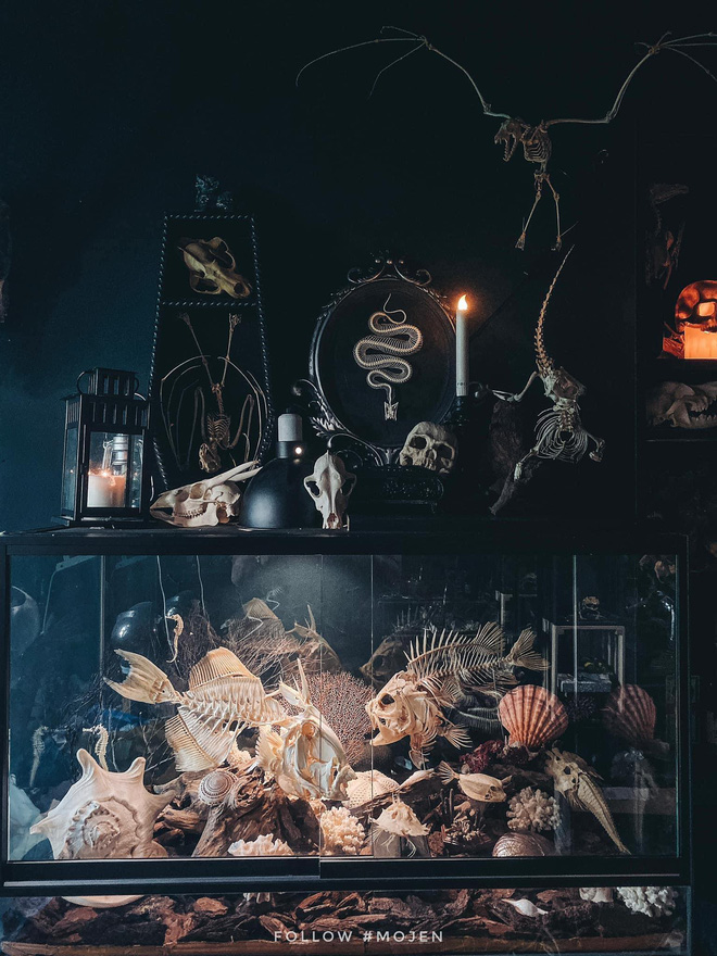 Hết hồn với chàng trai Sài Gòn decor nhà ma mị toàn xương động vật, mặc nhiều người chê kinh dị vẫn tự hào với BST độc lạ này-8