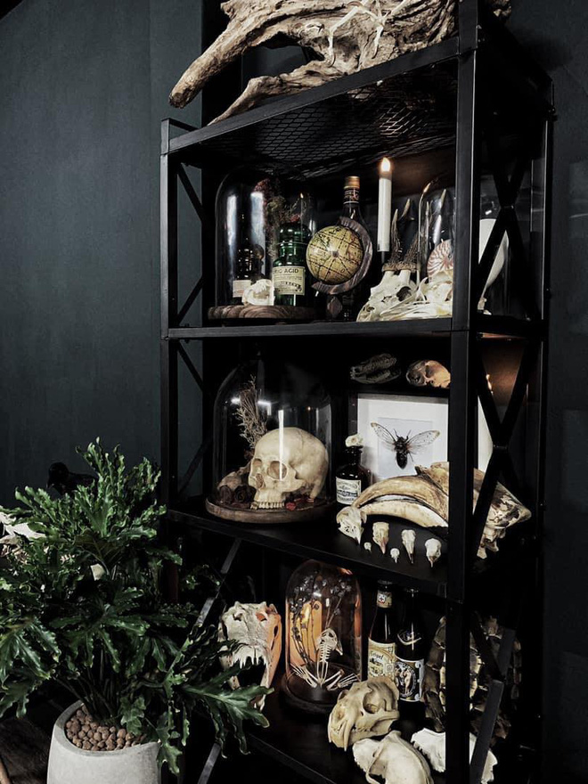 Hết hồn với chàng trai Sài Gòn decor nhà ma mị toàn xương động vật, mặc nhiều người chê kinh dị vẫn tự hào với BST độc lạ này-9