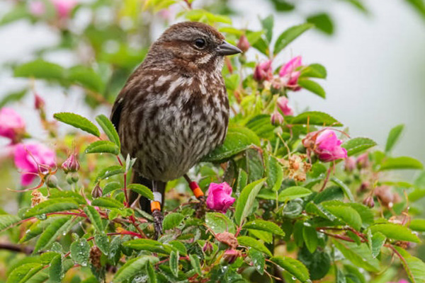 Dự báo năm 2022 cho cung Xử Nữ: Năm của sự thịnh vượng, giàu có cùng rất nhiều cơ hội tuyệt vời-4