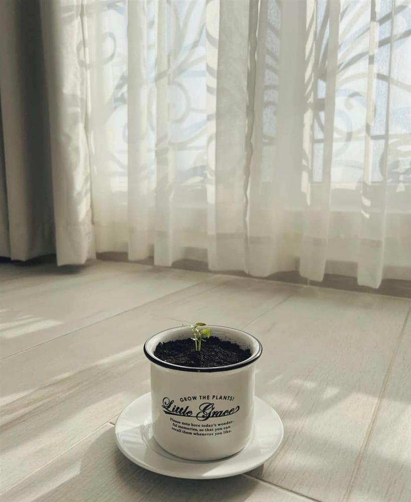 Hé lộ nơi sống trống trải của MC VTV Thanh Thanh Huyền-7