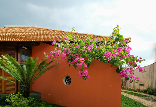 Nhà cấp 4 mái ngói mang hơi thở thôn quê của vợ chồng giáo viên, mộc mạc bình yên giữa phố núi Bảo Lộc (Lâm Đồng)-2