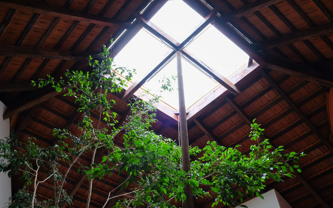 Nhà cấp 4 mái ngói mang hơi thở thôn quê của vợ chồng giáo viên, mộc mạc bình yên giữa phố núi Bảo Lộc (Lâm Đồng)-11