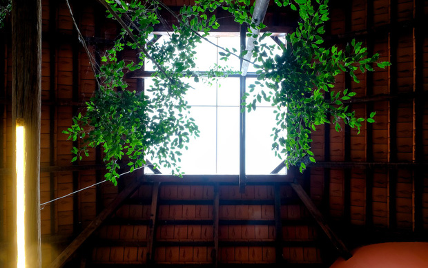 Nhà cấp 4 mái ngói mang hơi thở thôn quê của vợ chồng giáo viên, mộc mạc bình yên giữa phố núi Bảo Lộc (Lâm Đồng)-12