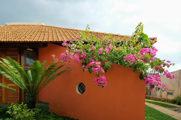 Ngôi nhà độc đáo ở Đà Nẵng, muốn đến các phòng phải qua chiếc cầu vắt vẻo”-31