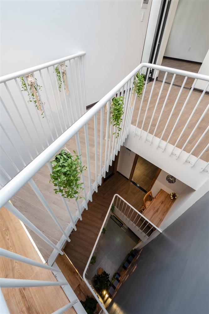 Ngôi nhà độc đáo ở Đà Nẵng, muốn đến các phòng phải qua chiếc cầu vắt vẻo”-17