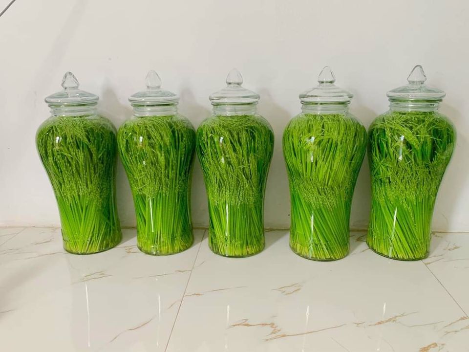 Rượu đòng đòng lúa nếp thơm ngon đẹp mắt, chị em nô nức đặt mua cho chồng uống Tết-4