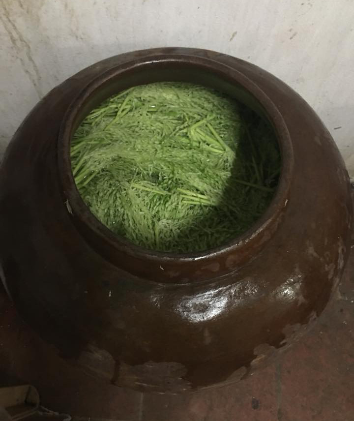 Rượu đòng đòng lúa nếp thơm ngon đẹp mắt, chị em nô nức đặt mua cho chồng uống Tết-6