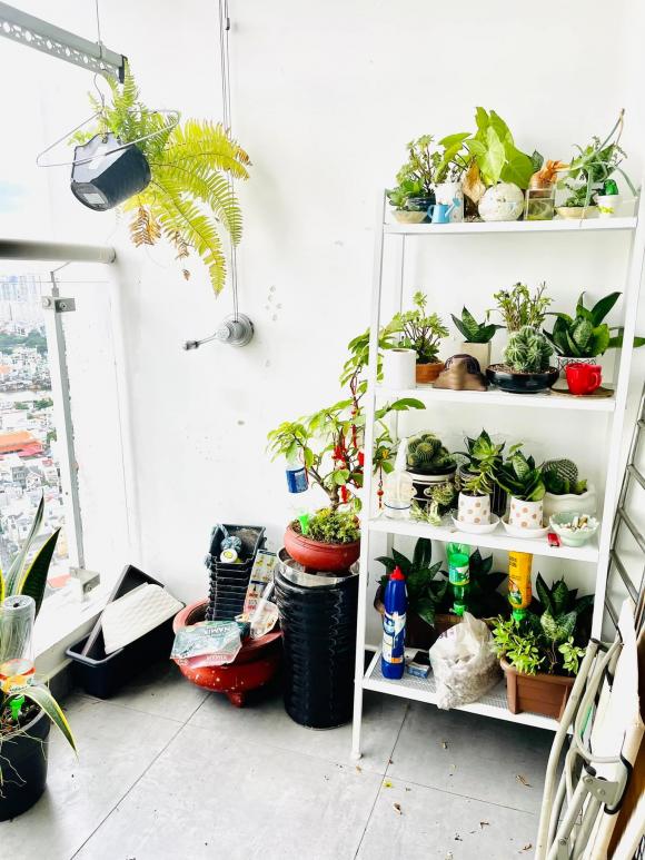 Diễn viên Cát Phượng rao bán căn hộ 117 m2-12