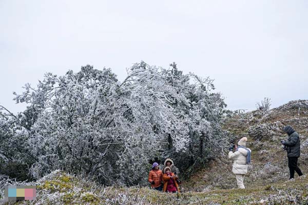 Xe đầu kéo gây tai nạn liên hoàn, tông chết người phụ nữ tại chốt kiểm soát dịch Covid-19-2