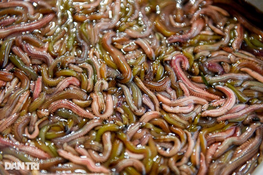 Quán bán đặc sản rồng đất, 30 năm khách xếp hàng tranh mua ở Hà Nội-1