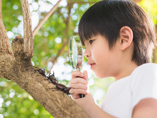 Trẻ lên 3 tuổi sở hữu những đặc điểm khủng khiếp này thì tiền đồ rất xán lạn, bố mẹ chắc chắn sẽ tự hào-3